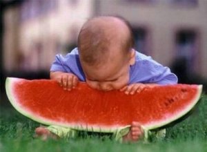 baby watermelon